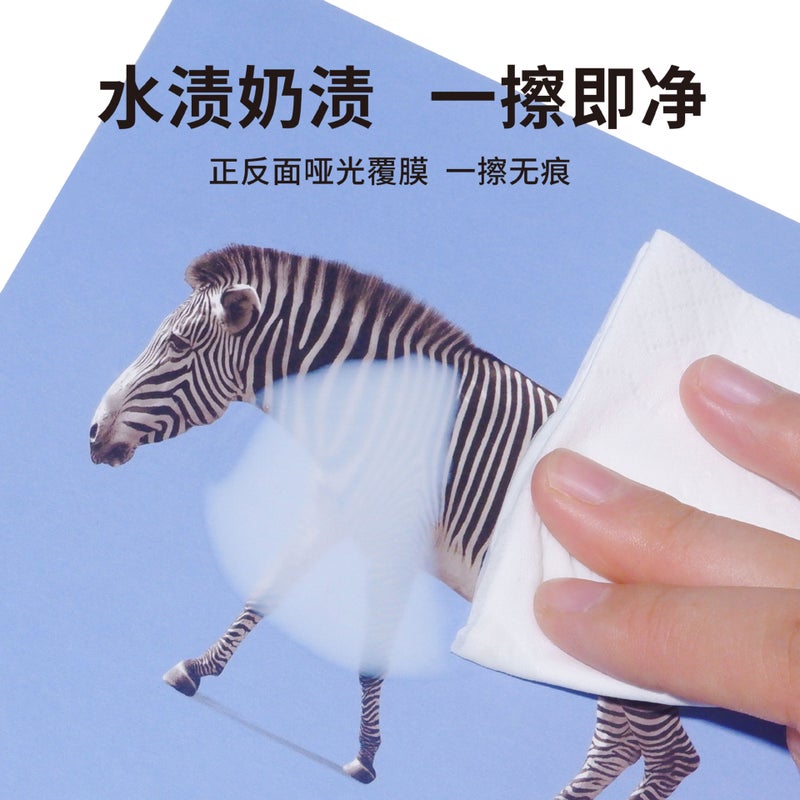 Children'S Early Education Visual Flash Card 0 To 3 Months Baby Black And White Color Follow-Up Flash Card Educational Awareness Card - Image 4